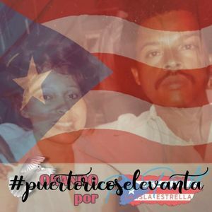 Meet your Posher, Ana